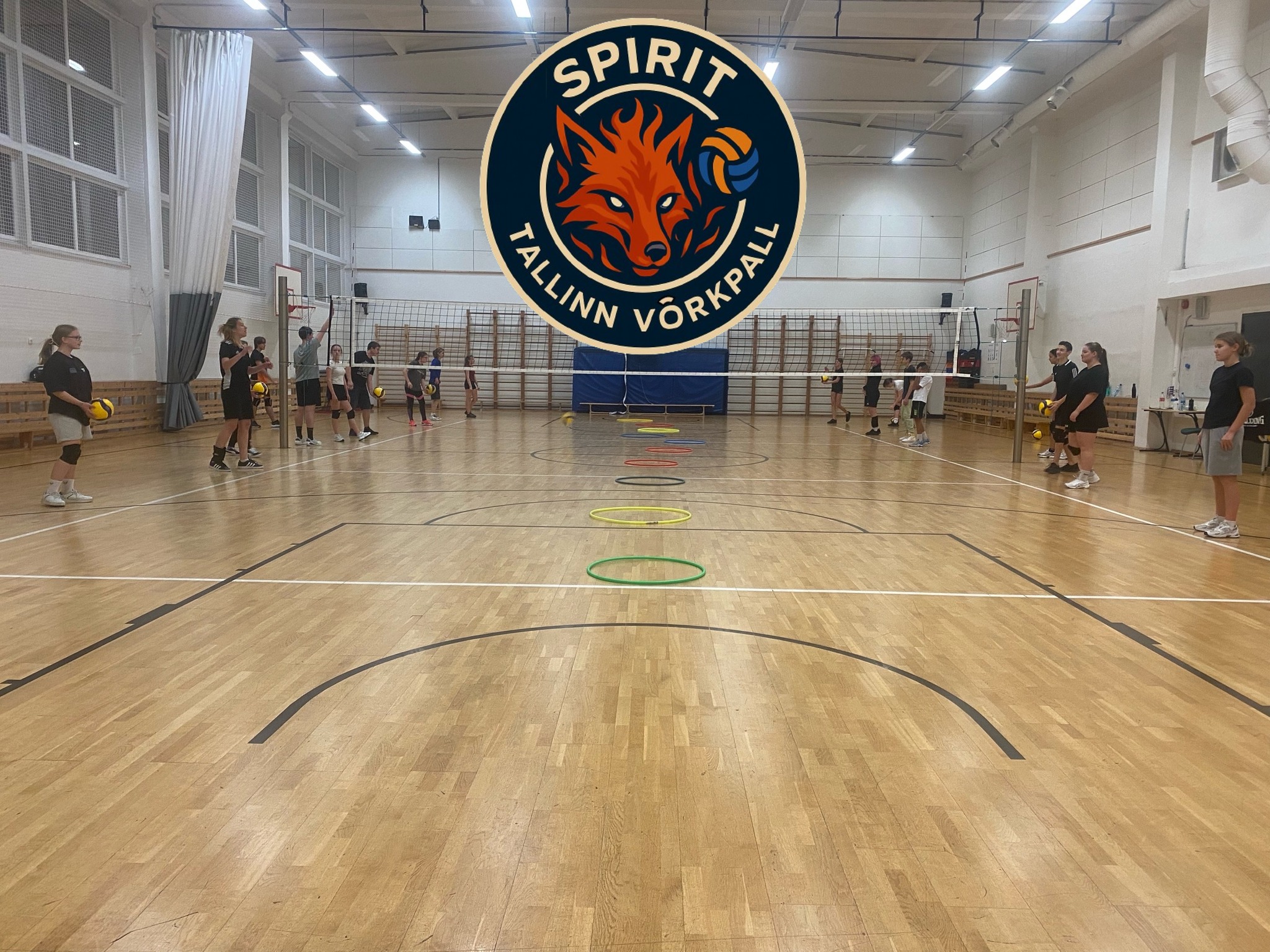 A Photo of volleyball training